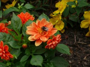 G06cce30d0c7a5e909394506b13dea733815d6e3f5aa9331bfb5d19b35c9ed9cdcc07266e980a21990e8e7ad63a06fa77 640