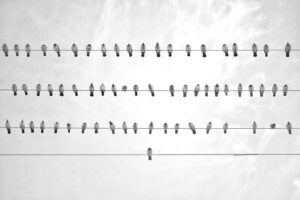 G766c6e9825268a26705c22bdcf4c8850a7a171c3960033b7f41b1e6eb7f55034488e087f19cac2400387c549dc7a6b801ce693907b7d194bac1be3f19ce367f6 640