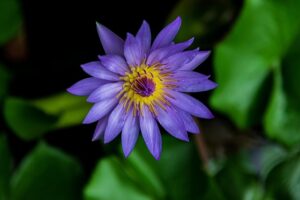 Gac1c38da177943a589f6fc8fd5c267ff2d3d056c8b067778b603efa040403f9d71dacd9b9b4a2acce1e0cbc20e7693bce44e45d47d7f026038eee79d97dccd35 640